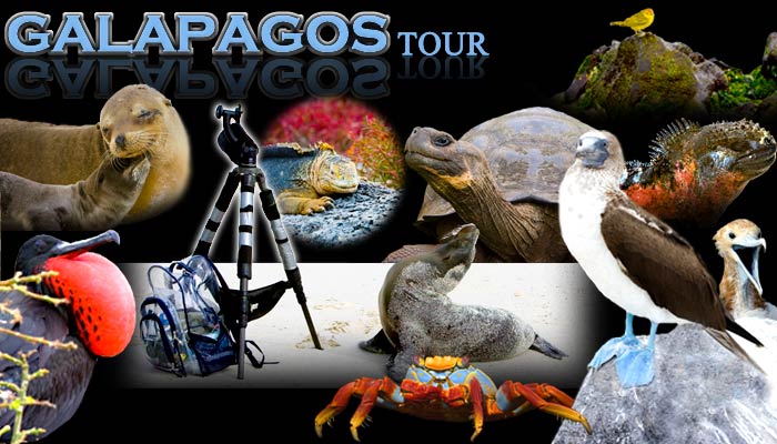 Galapagos Tour!