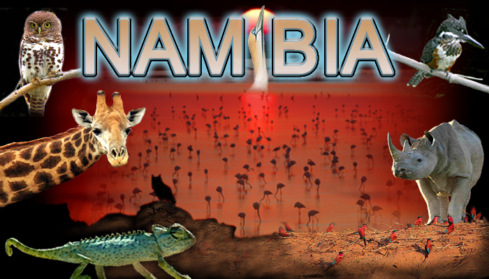 Namibia Tour